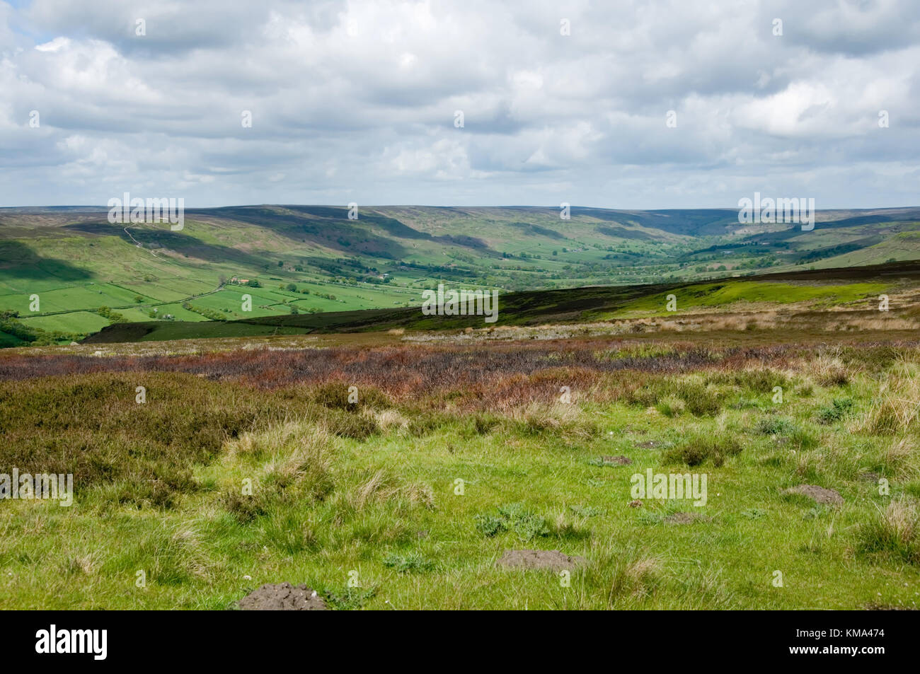 North Yorkshire Moors Wildnis Yorkshire Landschaft Heather Stockfoto