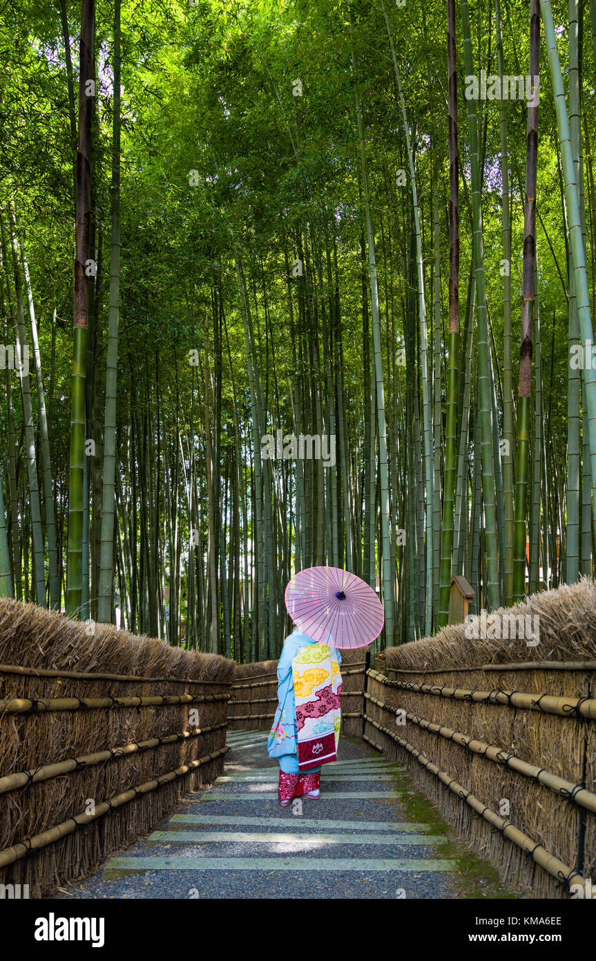 Ein Kyoto Maiko, der durch den Arashiyama Bambuswald schlendert Stockfoto