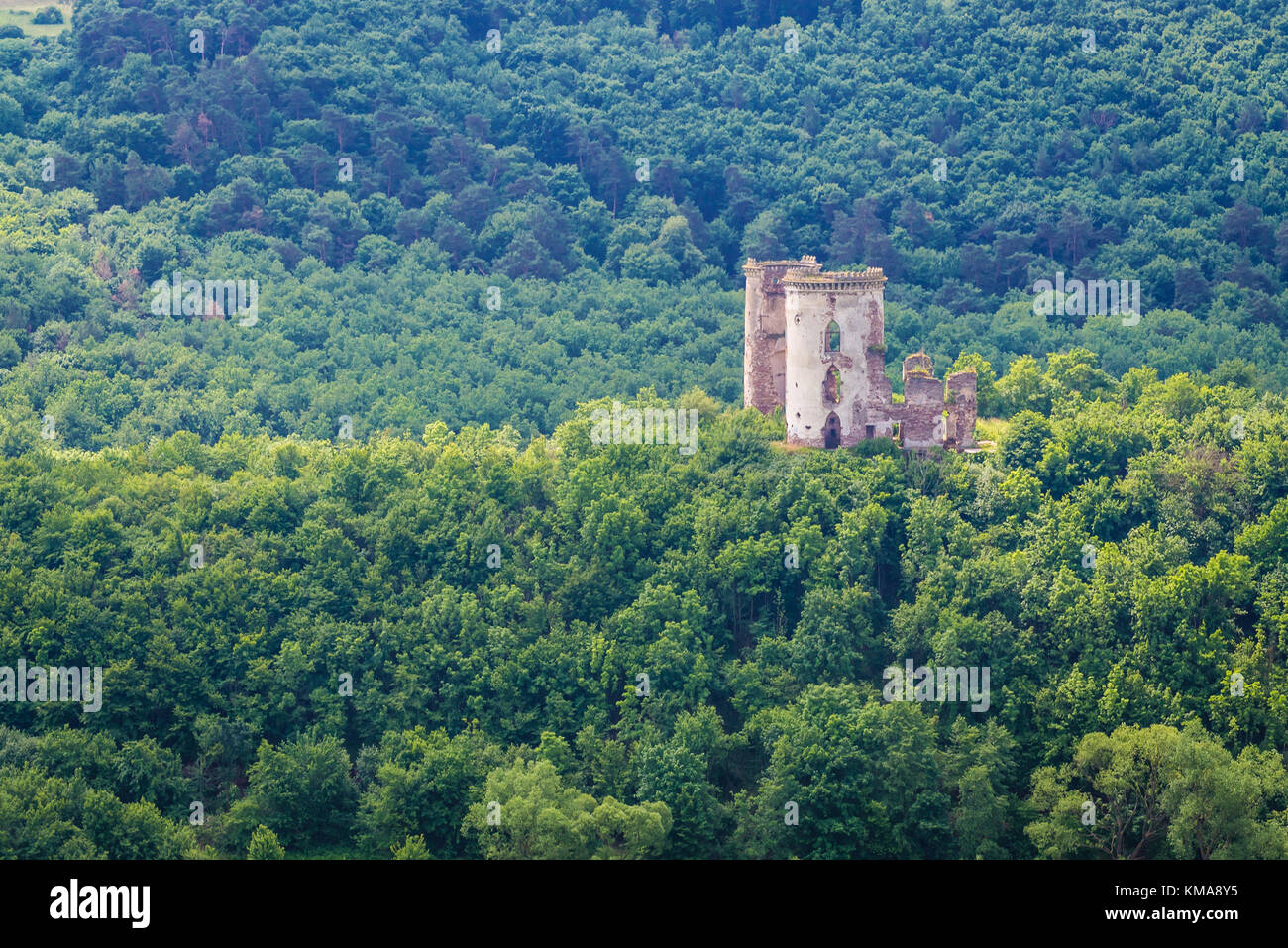 Ruinen der polnischen Burg in der ehemaligen Stadt Chervonohorod (auch Chervone genannt) im Bezirk Zalischyky, Ternopil Oblast der westlichen Ukraine Stockfoto