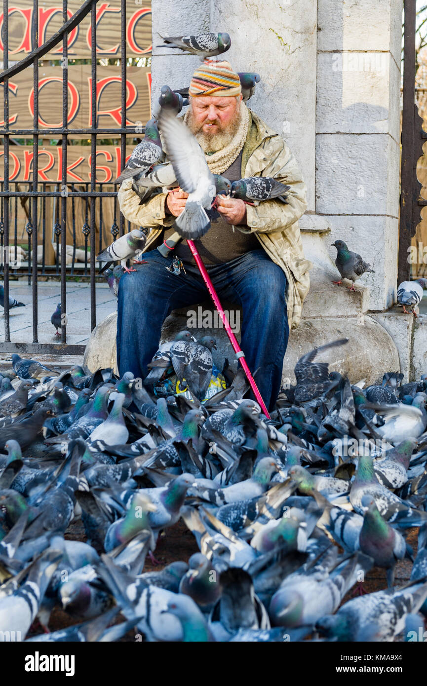 Alter Mann, der scheint, obdachlos zu sein oder ein Tramp füttert Tauben außerhalb Bischof Lucey Park in Cork, Irland. Stockfoto