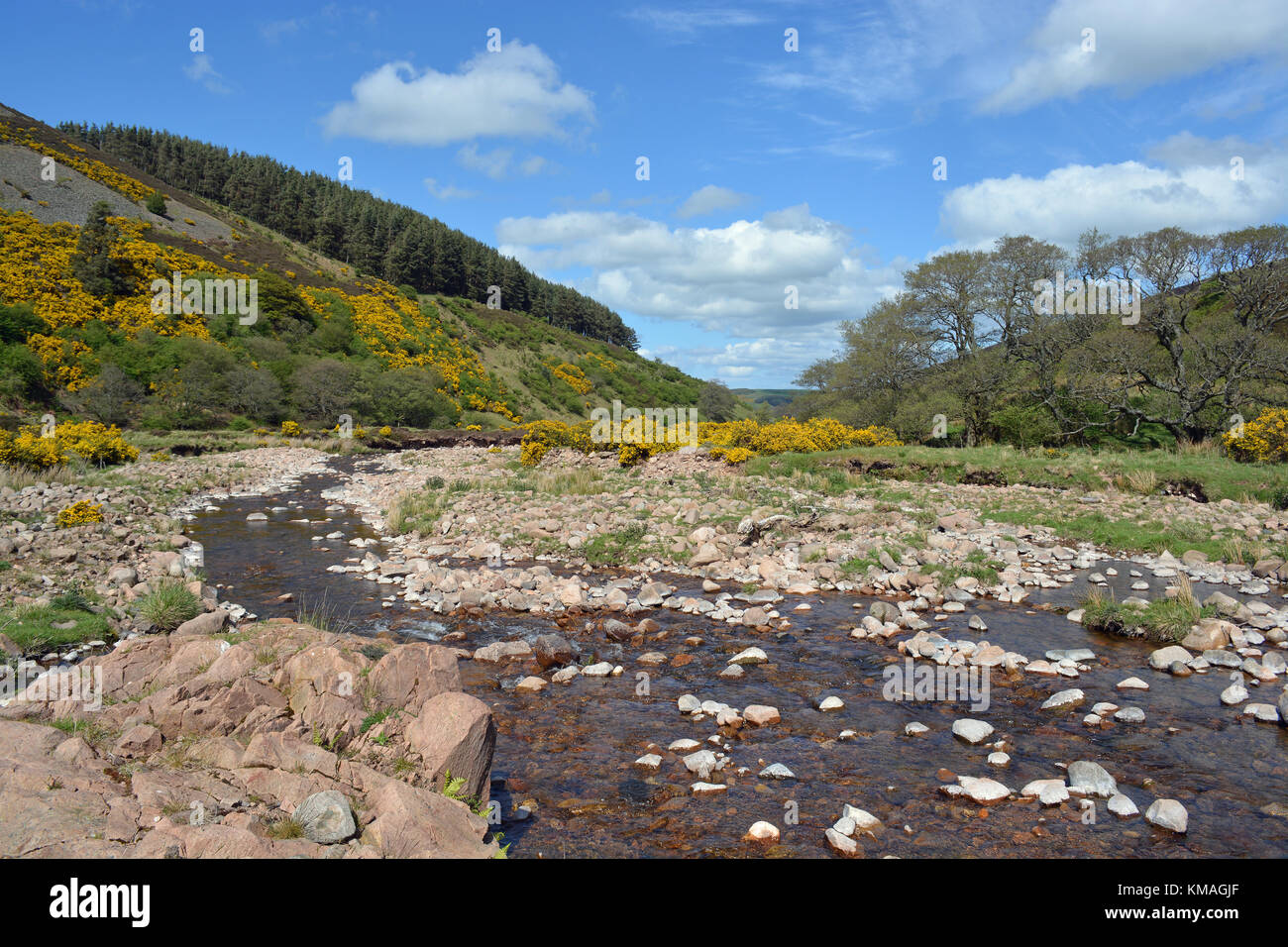 Harthope Tal, Northumberland Stockfoto
