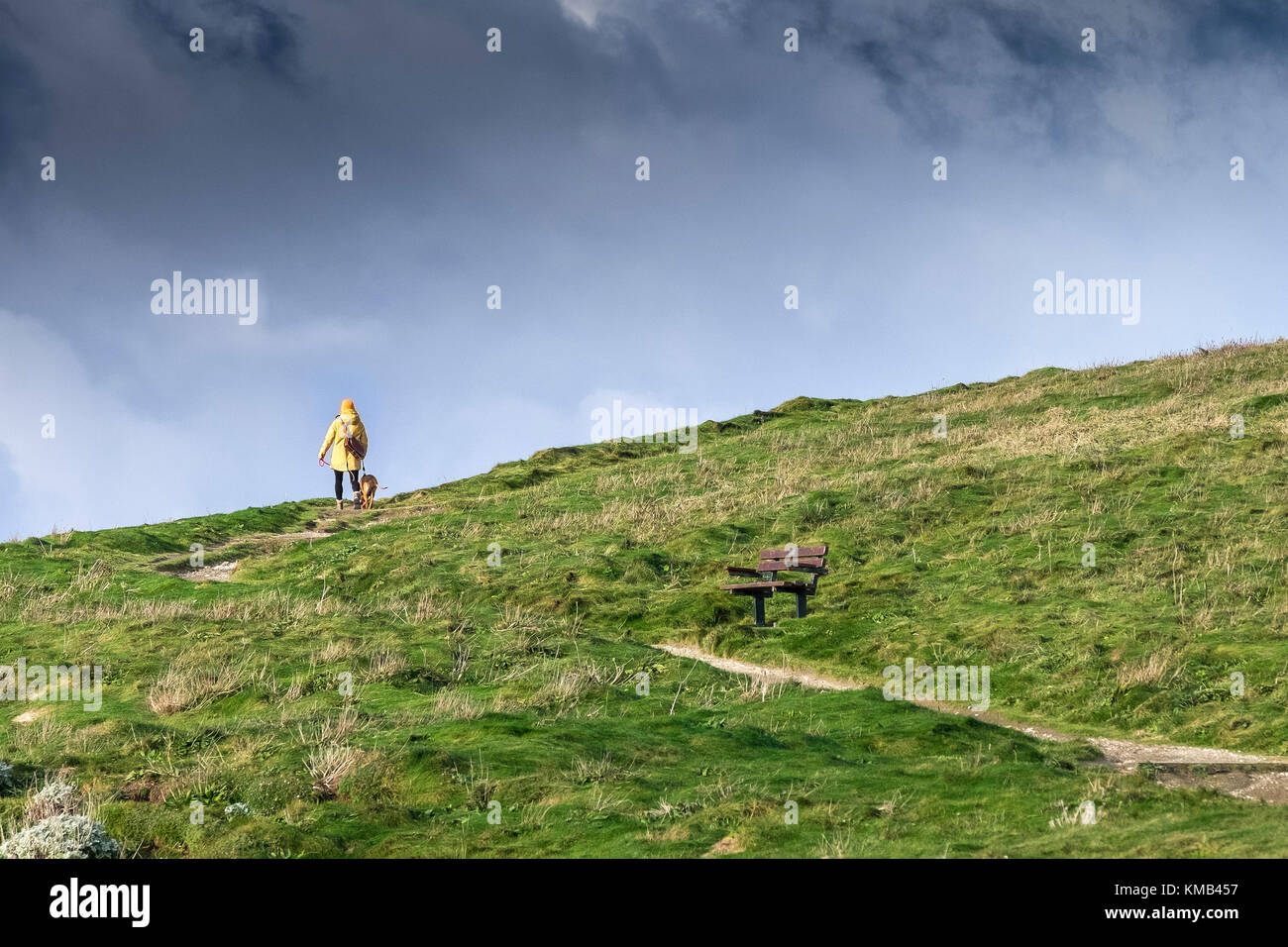 Hundespaziergang - eine Frau, die ihren Hund entlang eines Fußweges auf der Seite eines Hügels läuft. Stockfoto
