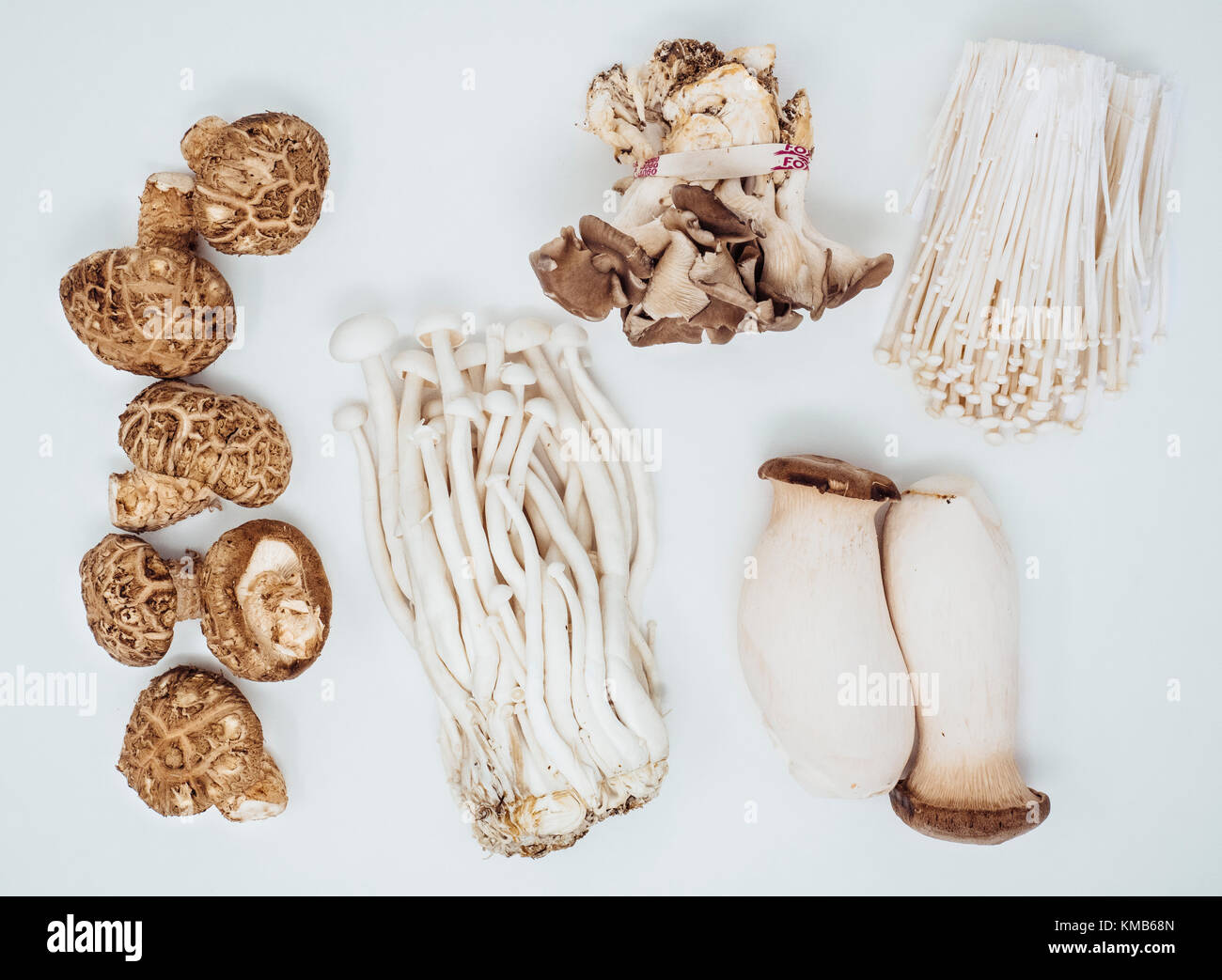 Fünf Arten von Pilzen - shiitake, Meeresfrüchten, Austern, König Auster, enoki Stockfoto