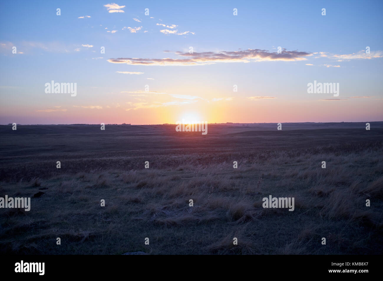 Sonnenaufgang über frosty Feld mit verdorrten Gras im Herbst. orange Sun steigt mehr als gerade Linie von fernen Horizont Stockfoto