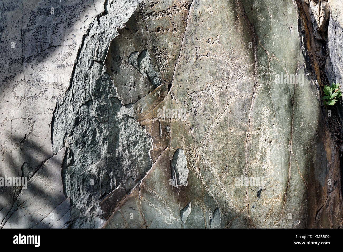 Alte Felszeichnungen Felszeichnungen auf Steinen in der Nähe von Kuyus Dorf. Republik Altai, Sibirien. Russland Stockfoto
