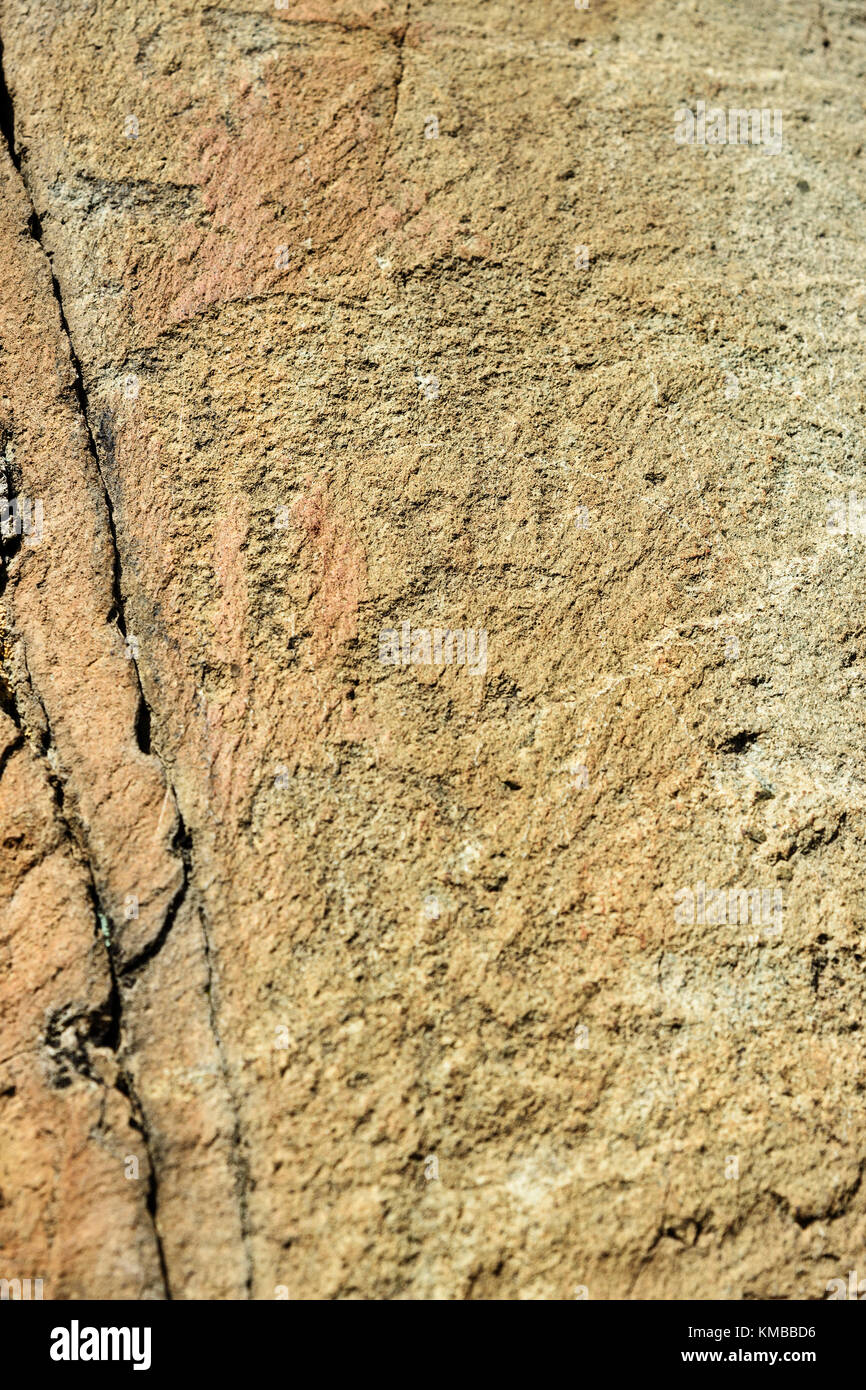 Alte Felszeichnungen Felszeichnungen auf Steinen in der Nähe von Kuyus Dorf. Republik Altai, Sibirien. Russland Stockfoto