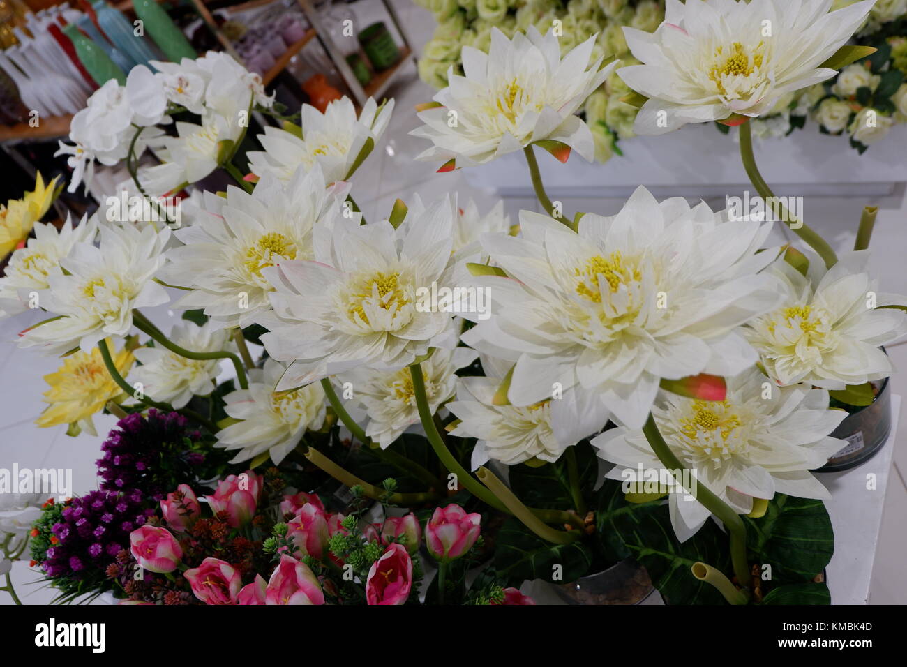 Künstliche Seerose blühende Pflanzen auf Anzeige suchen frisch und real, Nahaufnahme erfasst Stockfoto