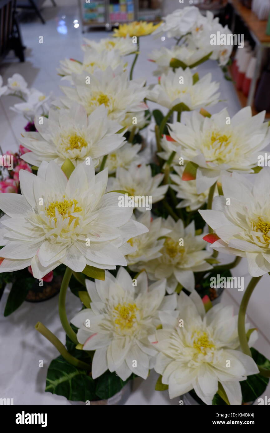 Künstliche Seerose blühende Pflanzen auf Anzeige frisch und real Stockfoto