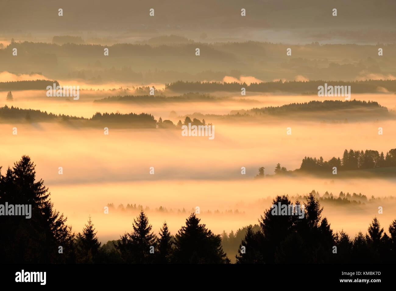 Hügelige Landschaft mit Morgennebel, Lechtaler, Ansicht vom Auerberg in der Nähe von Bernbeuren, Pfaffenwinkel, Allgäu, Oberbayern Stockfoto