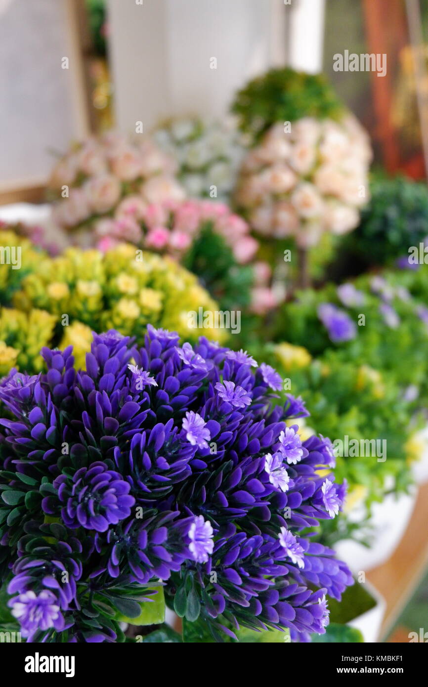 Künstliche violett blühenden Pflanzen auf dem Display sieht frisch und und Real Stockfoto