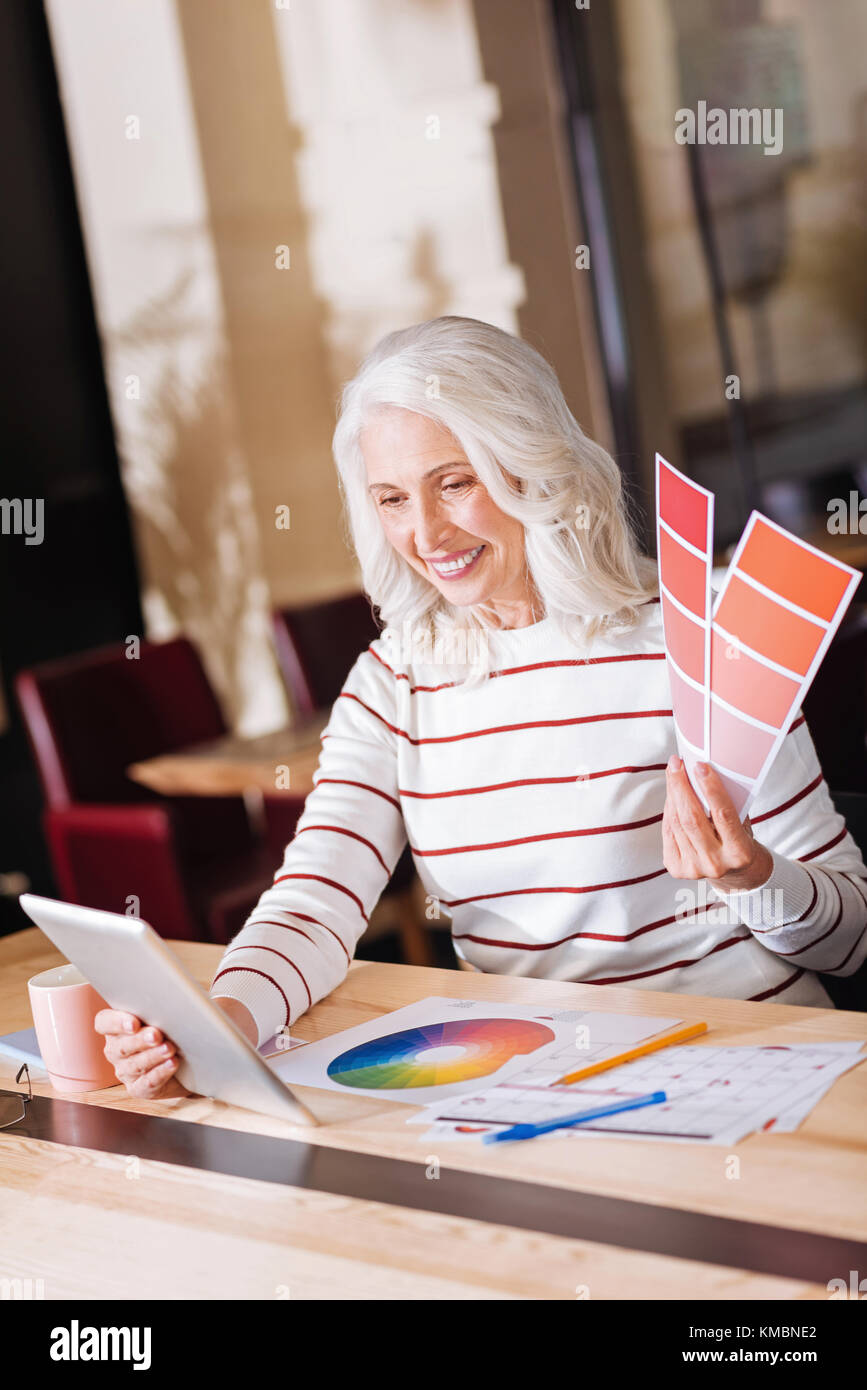 Positive verantwortlichen Designer in einer Videokonferenz mit Ihrem Kunden Stockfoto