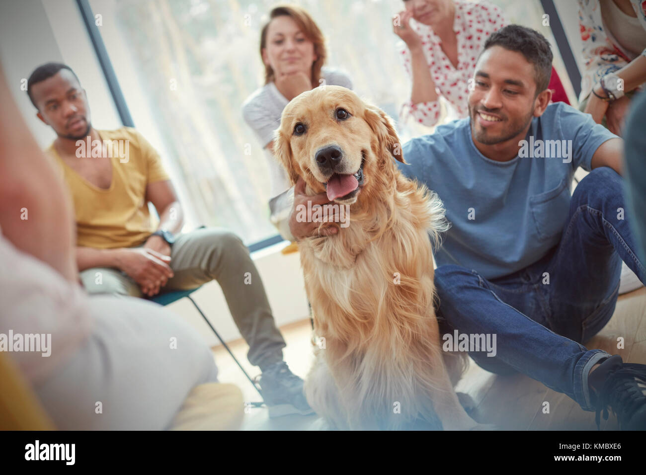 Mann Streichelhund in der Gruppentherapie Sitzung Stockfoto