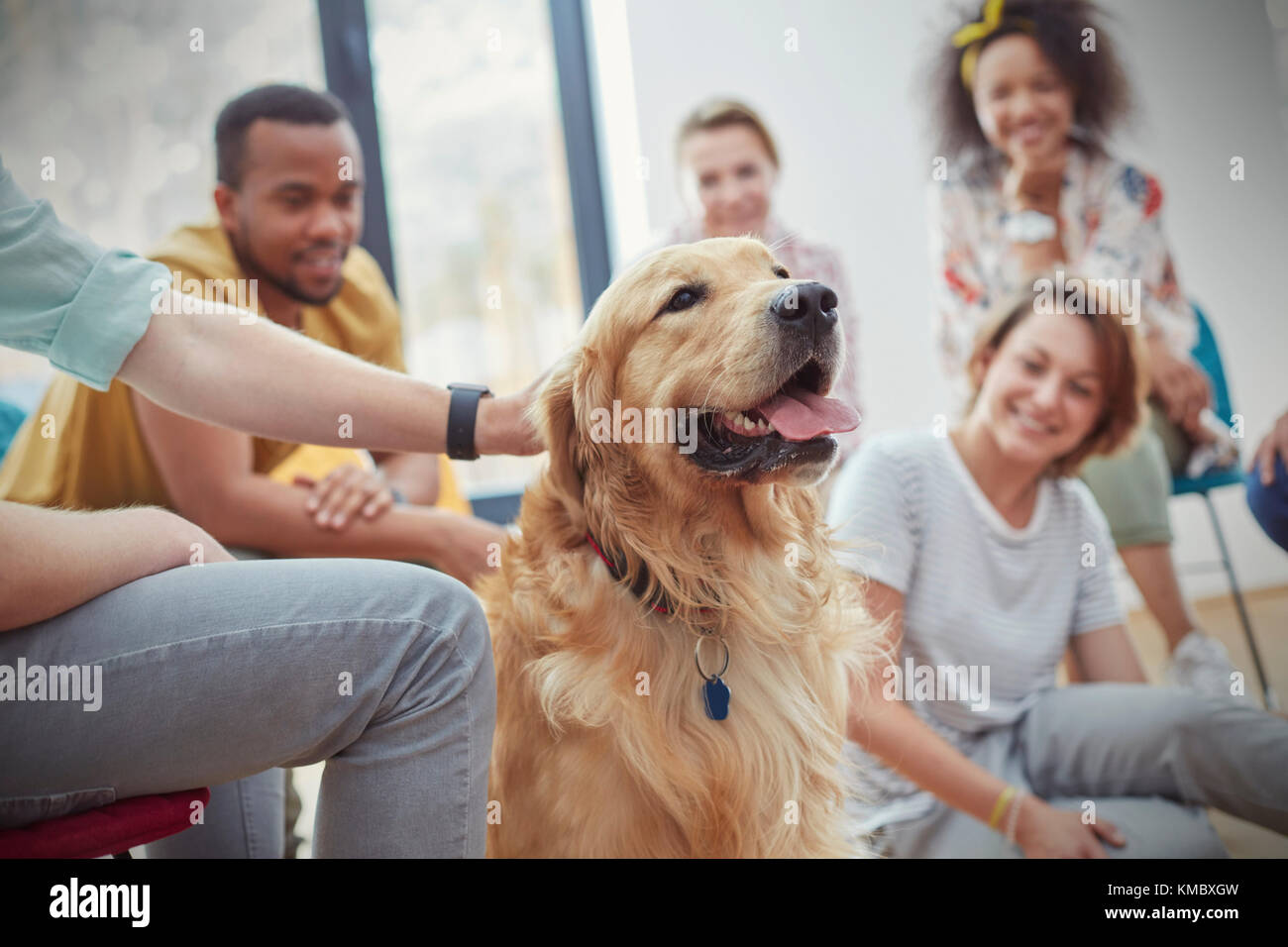 Menschen Streichelhund in der Gruppentherapie Sitzung Stockfoto