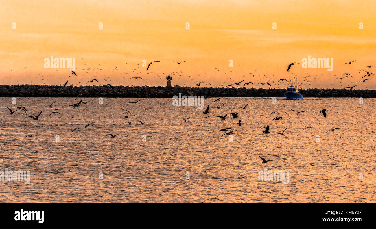 Sonnenuntergang in der Half Moon Bay mit Fischerboot und Vögel Silhouette Stockfoto