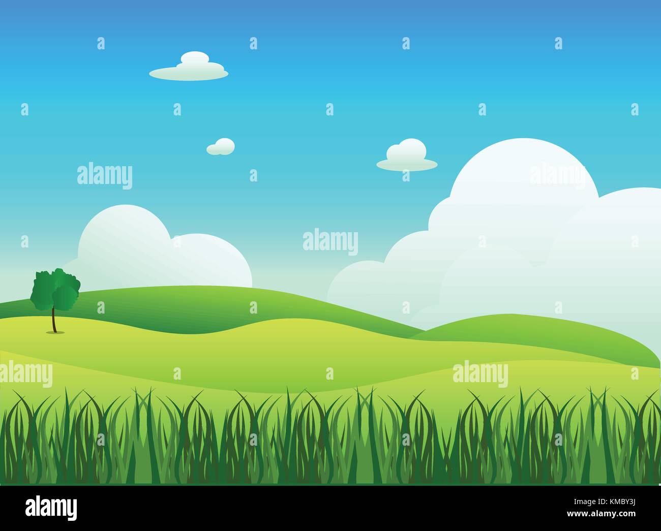Wiese Landschaft mit Gras im Vordergrund, Vector Illustration. grünes Feld und blauer Himmel mit weißen Wolken Hintergrund Stock Vektor