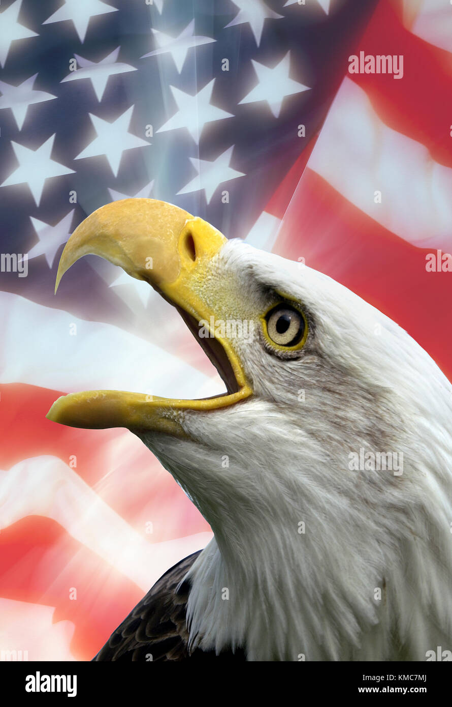 Patriotische Symbole - die Vereinigten Staaten von Amerika Stockfoto