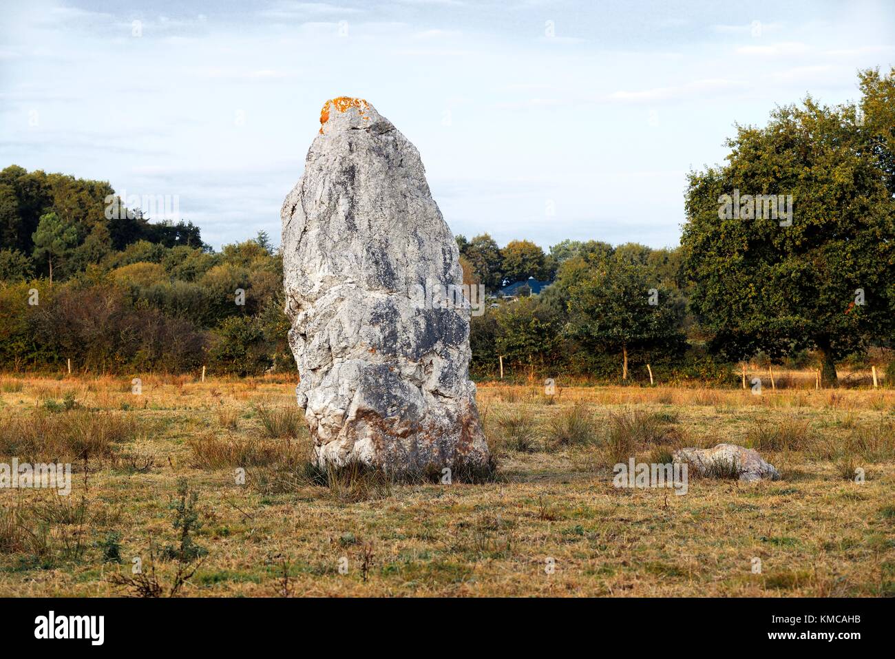 Die 5m Fuseau De La Madeleine prähistorischen stehende Stein Menhir bei La Viauderie 2 km westlich von Pontchateau, Saint-Nazaire, Frankreich Stockfoto