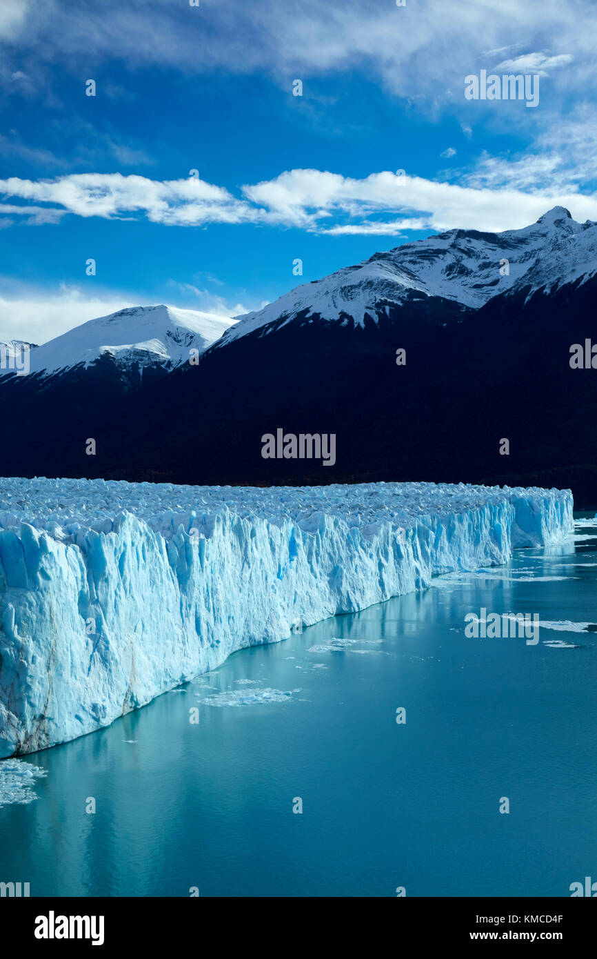 Terminal Gesicht des Gletschers Perito Moreno, und der Lago Argentino, Parque Nacional Los Glaciares (World Heritage Area), Patagonien, Argentinien, Südamerika Stockfoto