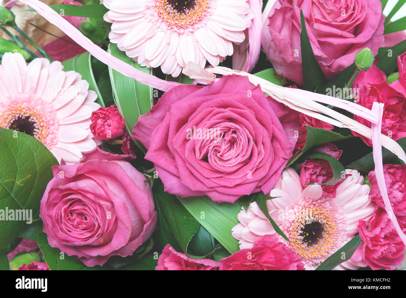Bunte Blumen als Hintergrund Stockfoto