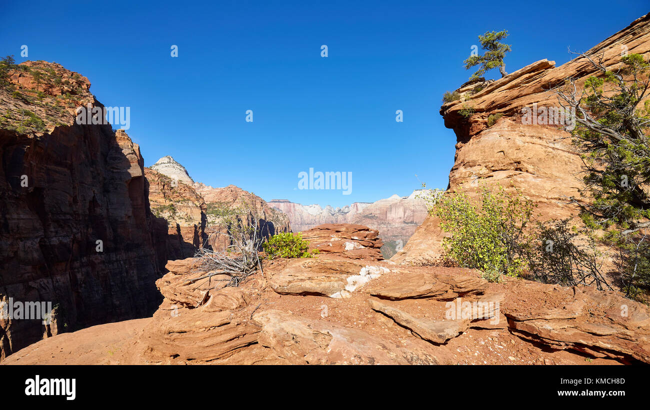 Zion National Park, Utah, USA. Stockfoto