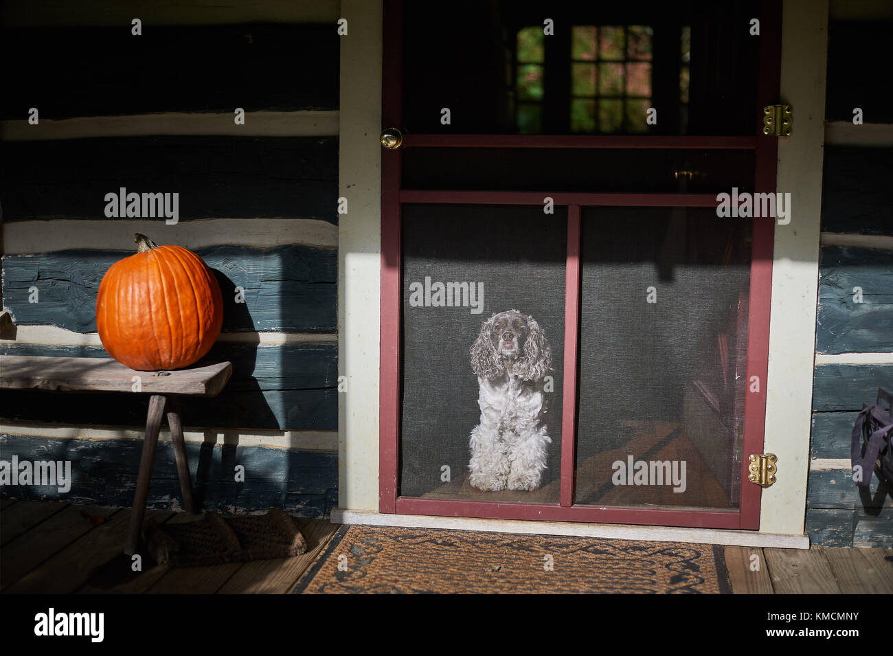 Bester Freund warten Stockfoto