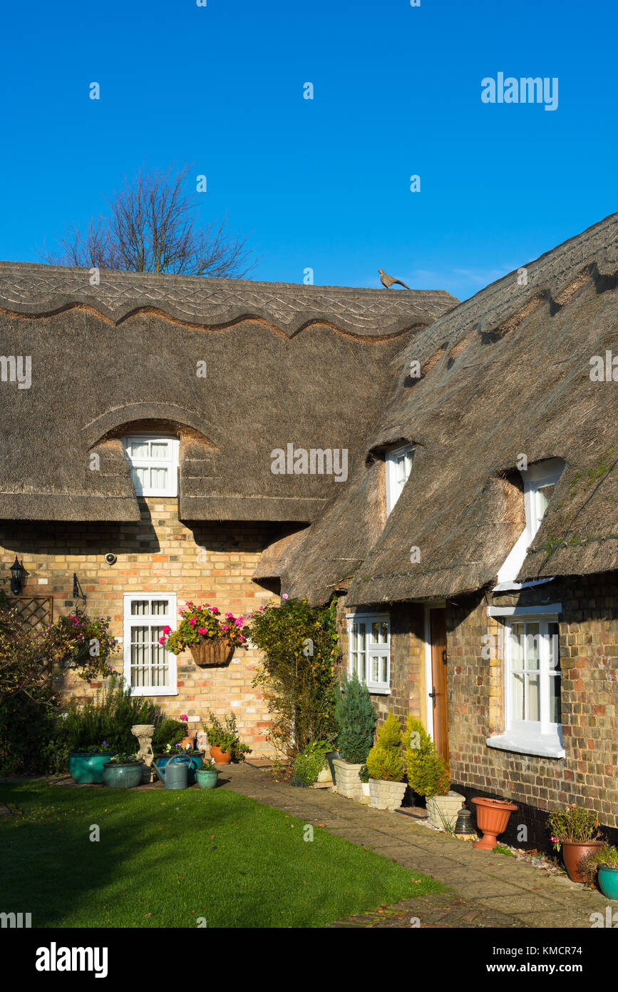 Ein Reetdachhaus in Godmanchester, Cambridgeshire. England, Großbritannien Stockfoto