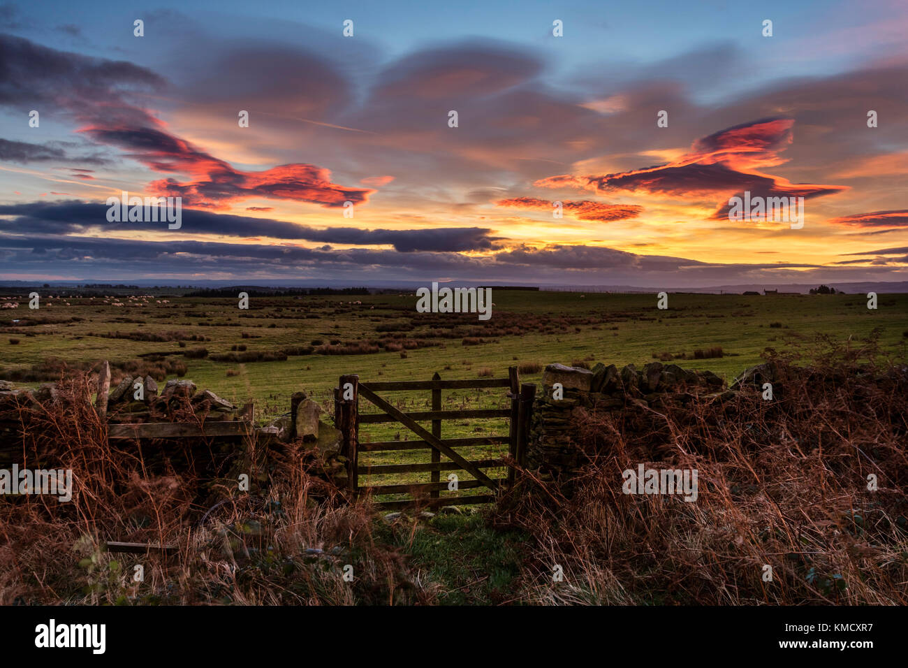Teesdale, County Durham, UK. Mittwoch, 6. Dezember 2017. UK Wetter. Hirten Warnung Himmel und das Sammeln von gewitterwolken als Sturm Caroline Ansätze der nördlichen Hälfte des UK. Sturm Caroline wird erwartet Schottland morgen früh zu schlagen, Sturmwind von bis zu 80 mph. Quelle: David Forster/Alamy leben Nachrichten Stockfoto
