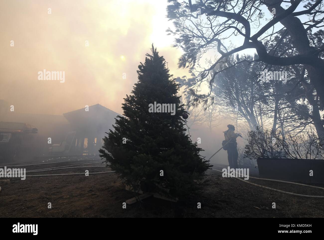 Los Angeles, Kalifornien, USA. Dezember 2017. Ein Feuerwehrmann legt einen Stichpunkt Feuer neben einem Weihnachtsbaum aus einem Waldbrand in der Bel Air Nachbarschaft von Los Angeles, Mittwoch, 6. Dezember 2017. Kredit: Ringo Chiu/ZUMA Wire/Alamy Live News Stockfoto