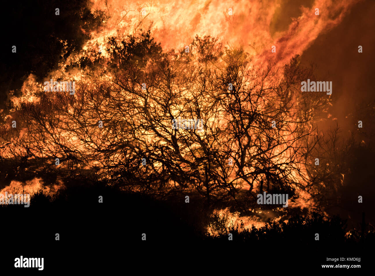 Ventura, USA. 6. Dezember 2017. die Feuerwehrleute kämpfen wildland Fire von Santa Ana Winde in Ventura, Kalifornien, USA. Credit: Kara capaldo/alamy Leben Nachrichten. Stockfoto