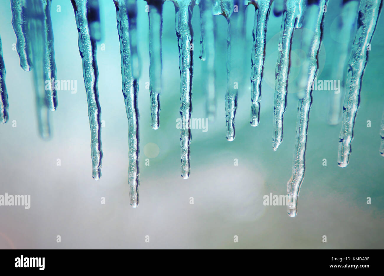 Winter Freeze - Kalt und schönen Kreationen aus der Natur Stockfoto