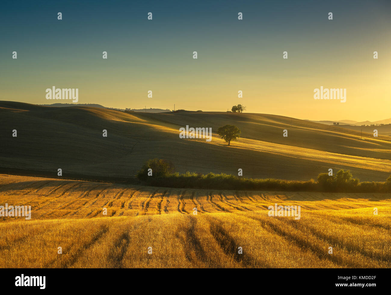 Der Toskana auf dem Land Panoramaaussicht, Bäume, Hügel und grüne Felder auf Sonnenuntergang. Italien, Europa Stockfoto