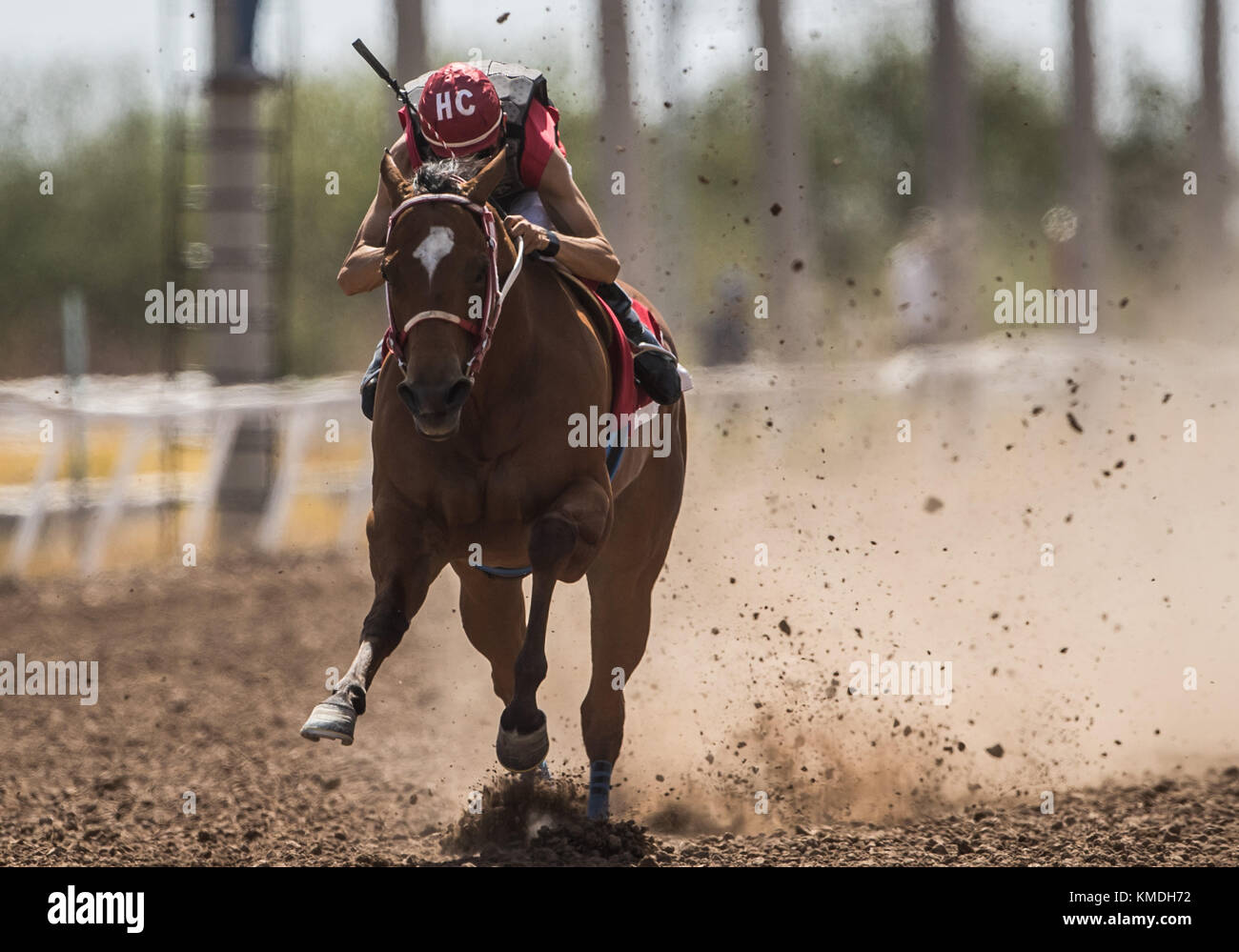 Pferderennen bei Sonnenuntergang am Hippodrom von Hermosillo, Sonora Mexico. Mexikanische Jungs versuchen, das Rennen zu gewinnen. (Foto: Luis Gutierrez/nortephoto.com Stockfoto