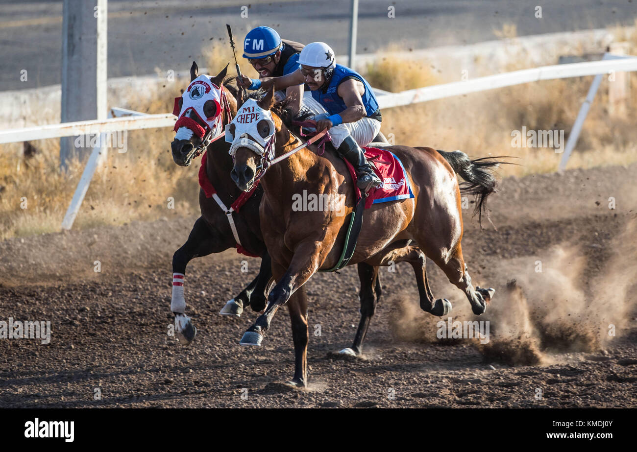 Pferderennen bei Sonnenuntergang am Hippodrom von Hermosillo, Sonora Mexico. Mexikanische Jungs versuchen, das Rennen zu gewinnen. (Foto: Luis Gutierrez/nortephoto.com Stockfoto