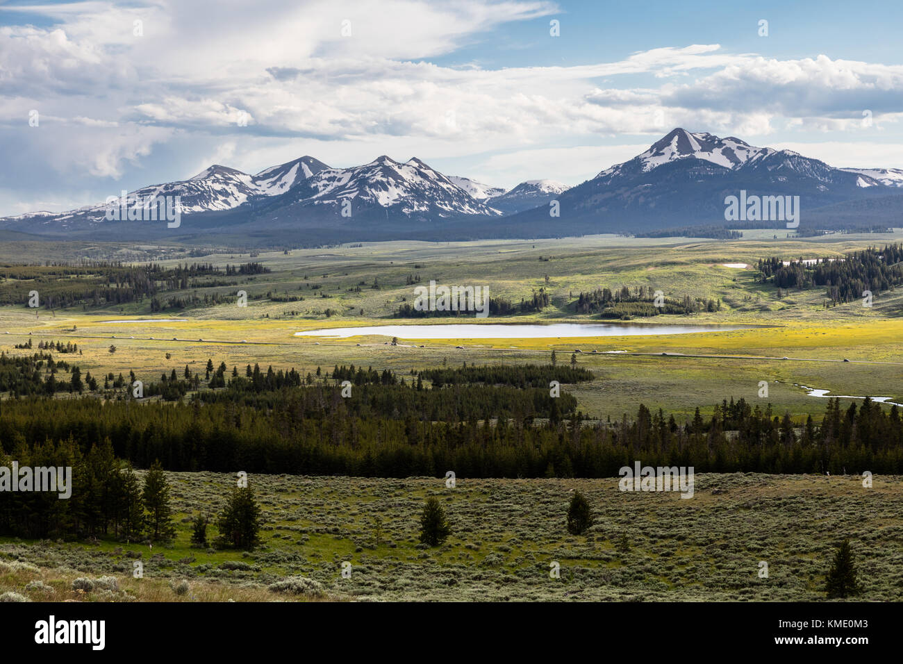 Den Schwanensee Wohnungen sitzen vor dem gallatin Range Berge antler Peak an der Yellowstone National Park, den 20. Juni 2017 in Wyoming. (Foto von Jacob w. Frank über planetpix) Stockfoto