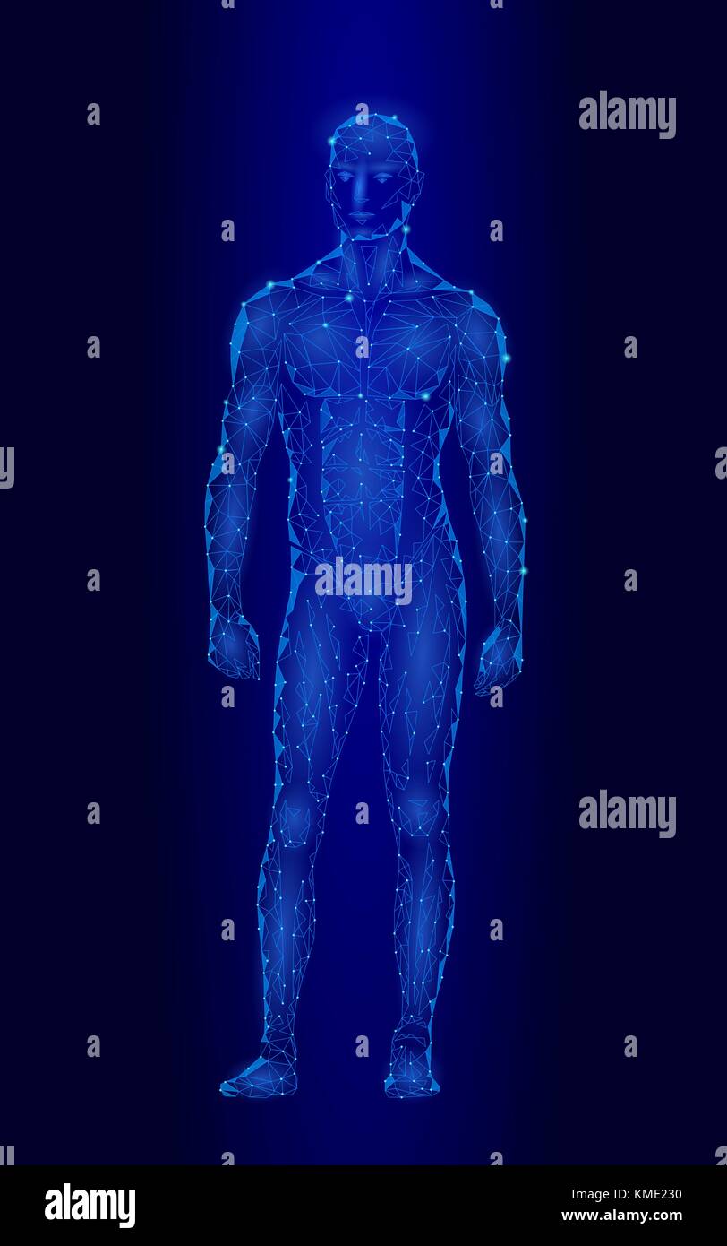 Starken gesunden menschlichen Körper stehend 3d-modell Low Poly Design. Android Roboter humanoid Optimale perfekte Mann fitness sport Form. polygonalen geometrische Linie Partikel blaues Leuchten Vector Illustration Stock Vektor