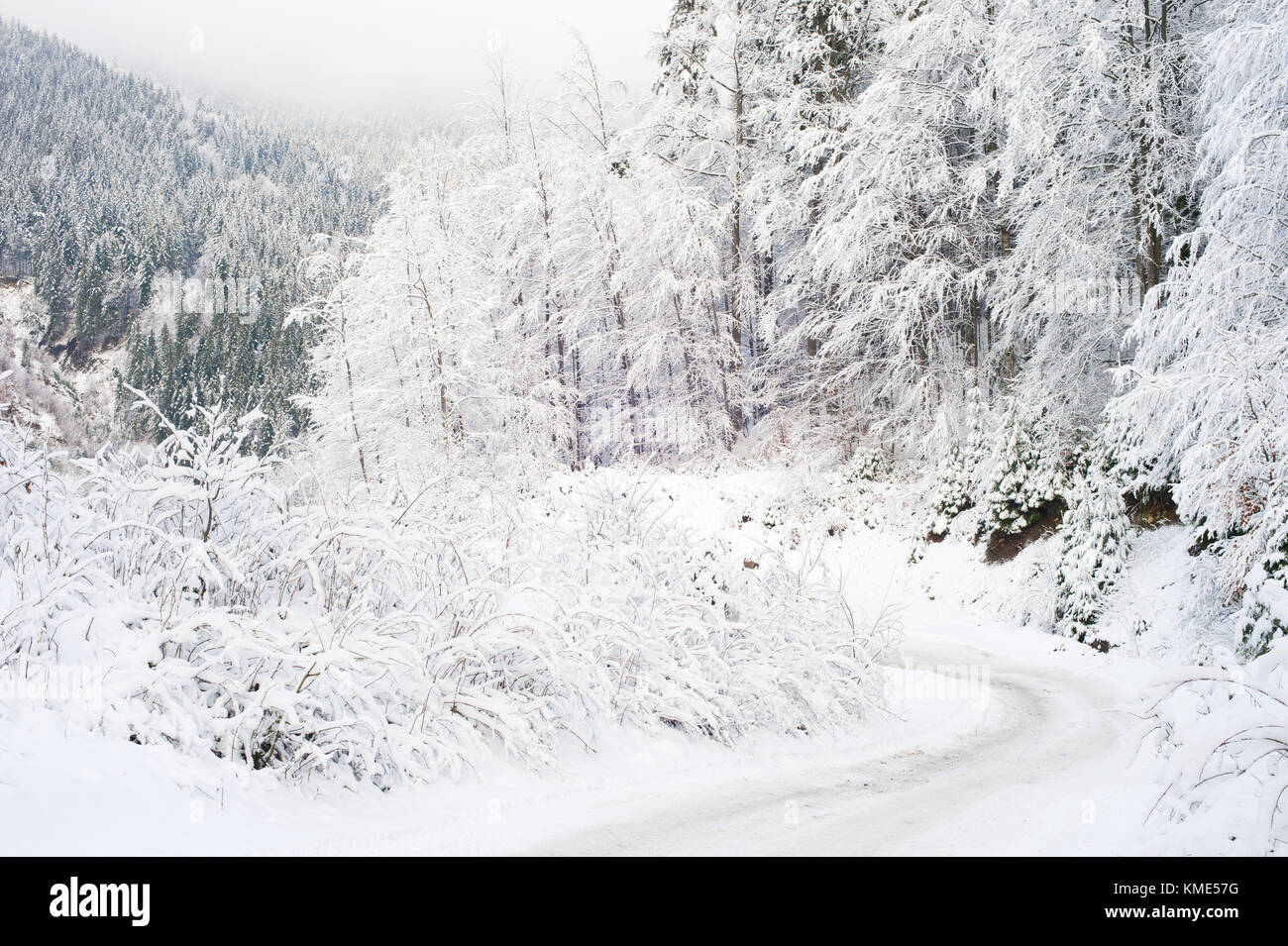 Gefrorene winter Straße in den Karpaten bedeckt mit Schnee Stockfoto