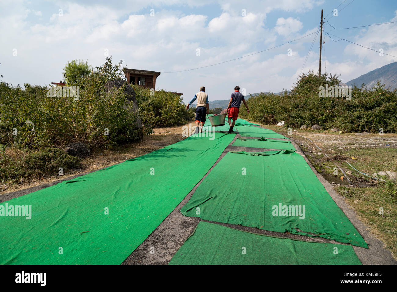 Zwei Männer, die ein Schiff mit gewaschenen Klamotten gefüllt und laufen auf der Straße mit grünem Teppich bedeckt. Stockfoto