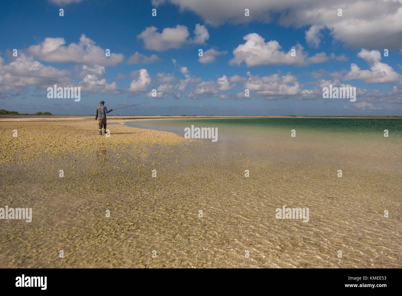 Die Jagd auf Bonefish auf Kiribati Atoll Stockfoto