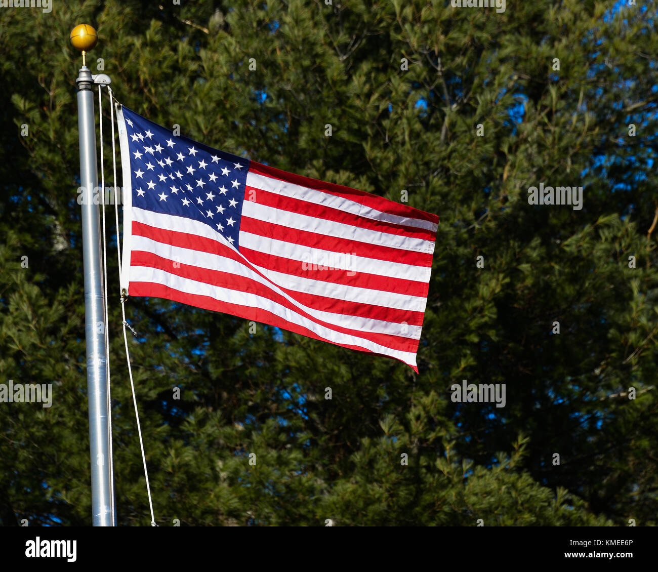 Eine amerikanische Flagge schwenkten in der Brise mit einem Hintergrund von immergrünen Bäumen. Stockfoto