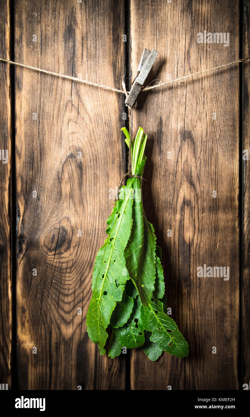 Bündel frische Blätter hängen an einen String. auf Holz- Hintergrund. Stockfoto