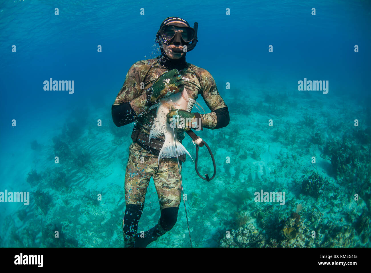 Vorderansicht des Tauchers, der gefangenen Hogfish unter Wasser hält, während Speerfischen, Clarence Town, Long Island, Bahamas Stockfoto