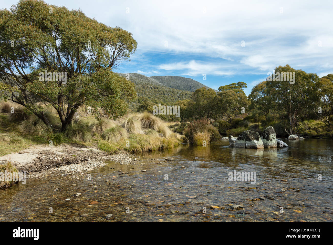 Die Thredbo River im Thredbo Diggings in Kosciuszko National Park in den Snowy Mountains im Süden von New South Wales. Stockfoto