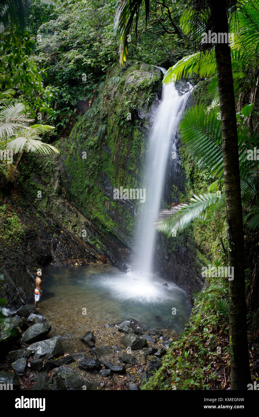 Majestätische Naturlandschaft mit Mann unter einem von San Diego Wasserfälle in El Yunque Regenwald, Rio Grande, Puerto Rico Stockfoto