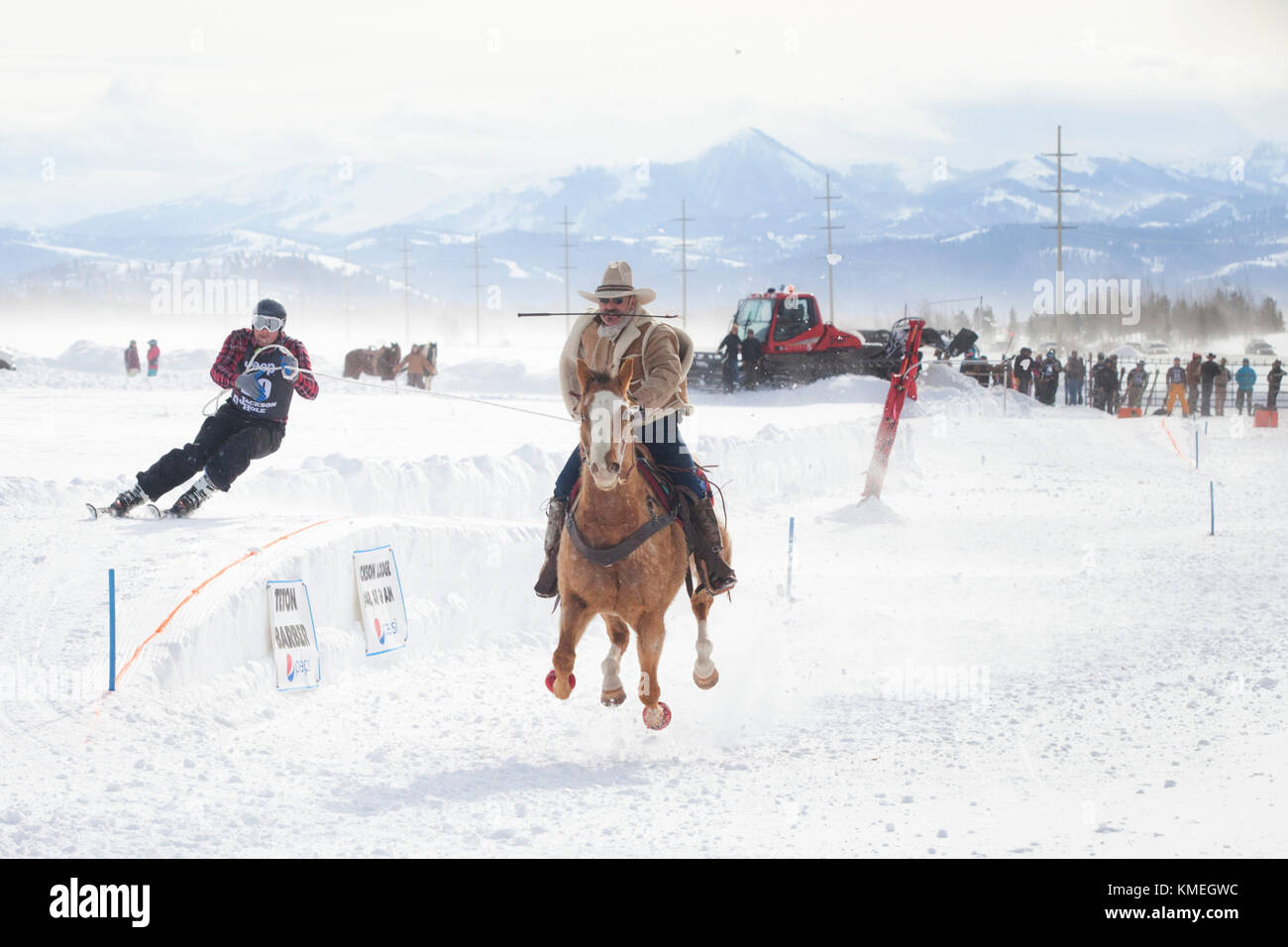 Skifahrer Rennen hinter galoppierenden Pferd beim jährlichen Skijoring Wettbewerb im Jackson Hole Mountain Resort, Teton Village, Wyoming, USA Stockfoto