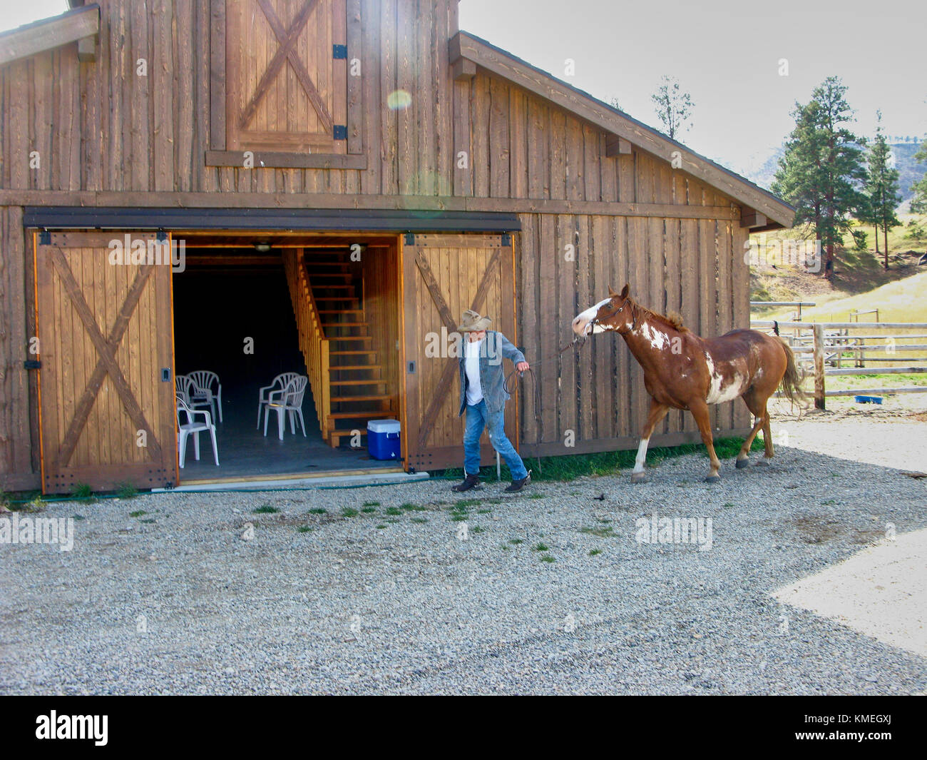 Wrangler führt Pferd Stall bei Triple Creek Ranch in Montana. Stockfoto