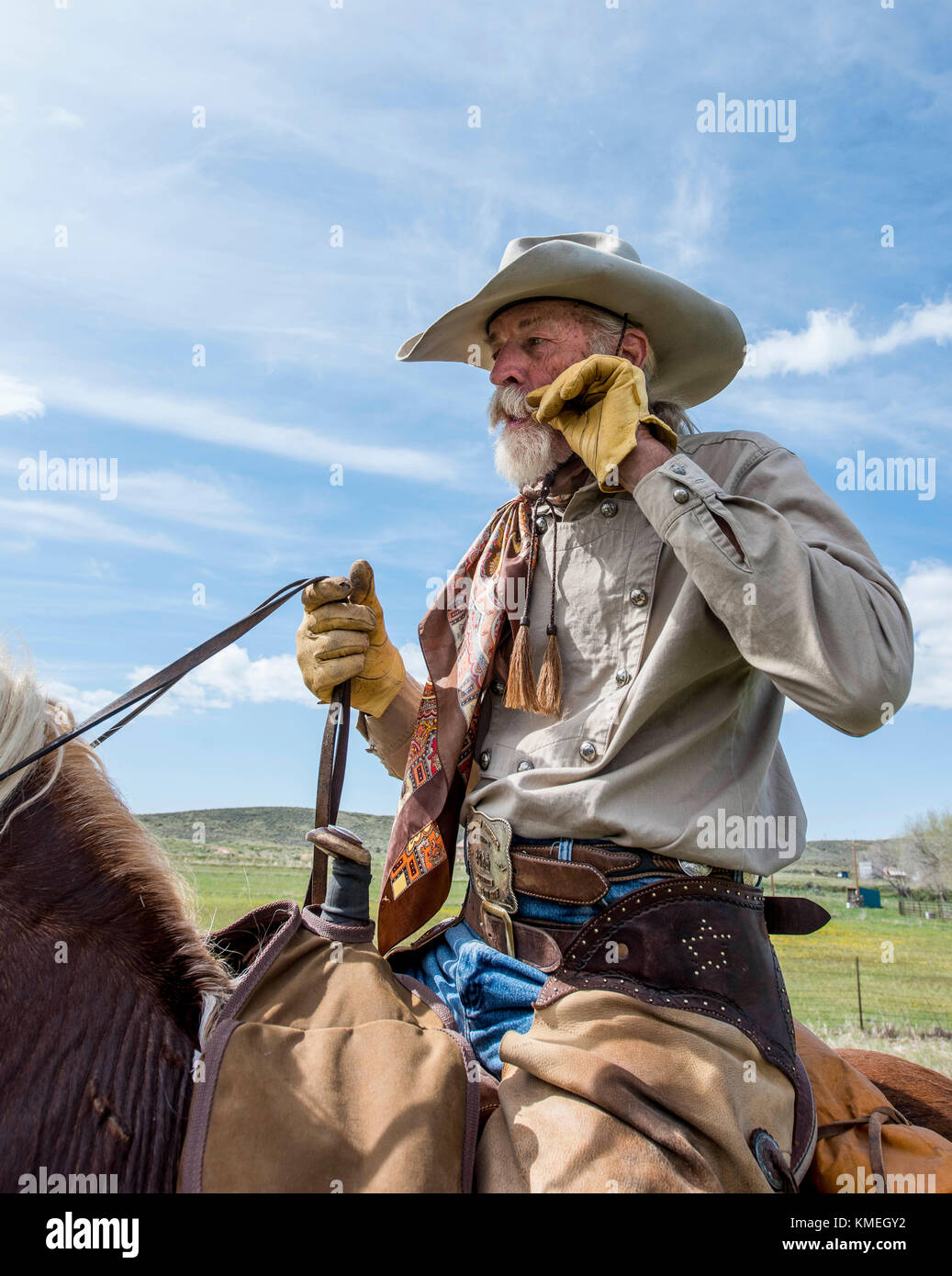 Alte Cowboy auf almabtrieb durch Maybell, Colorado, USA Stockfoto