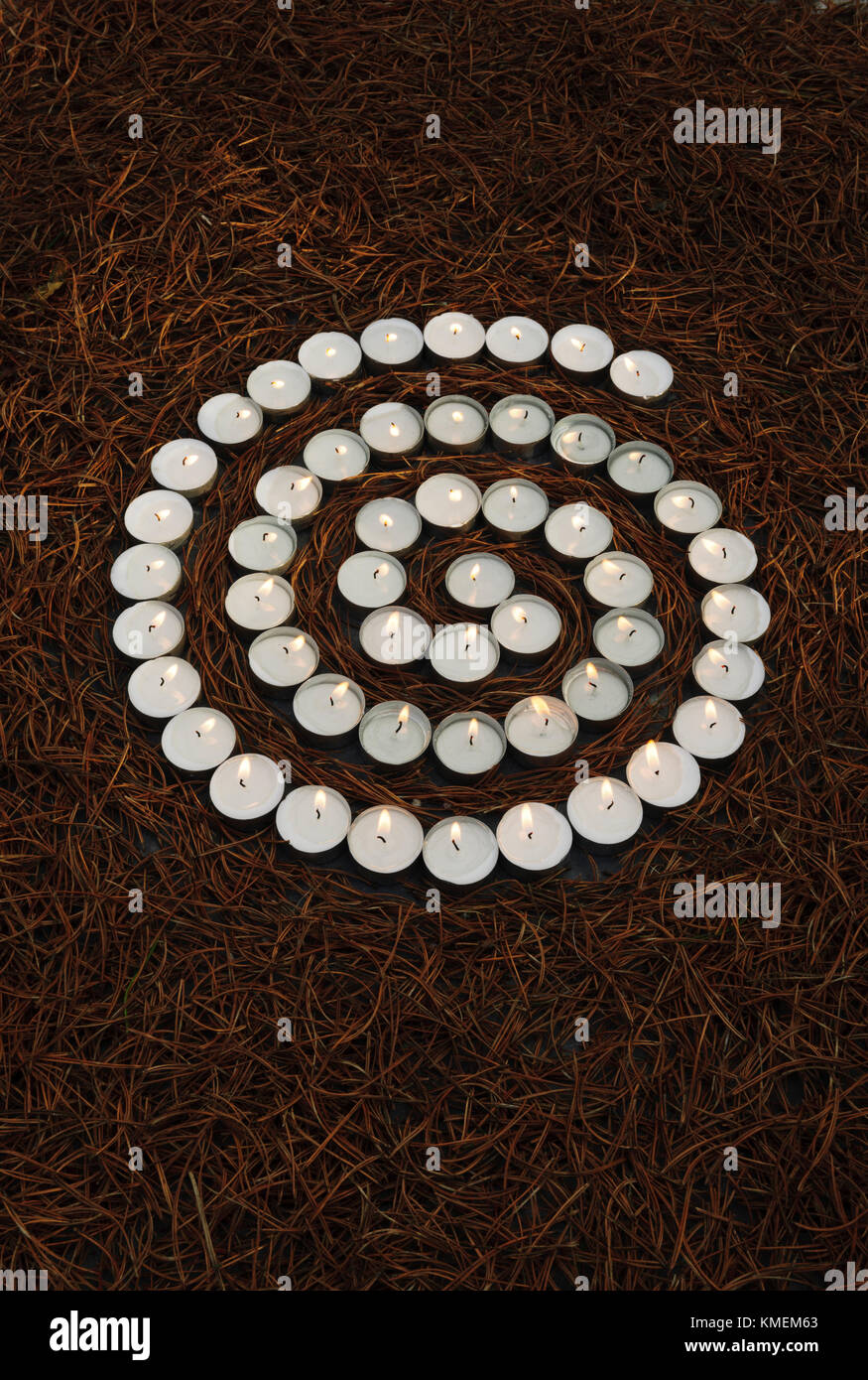 Spirale der Leuchten Teelicht Kerzen an trockenen Kiefernnadeln Stockfoto
