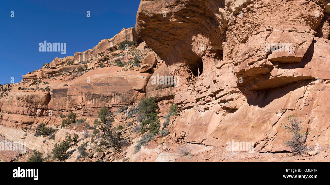 Panoramabild des verlassenen Anasazi Ruinen der "Türkei pen Ruinen' in der unteren Mule Canyon, Kamm ridge, San Juan County, Utah, USA. Stockfoto