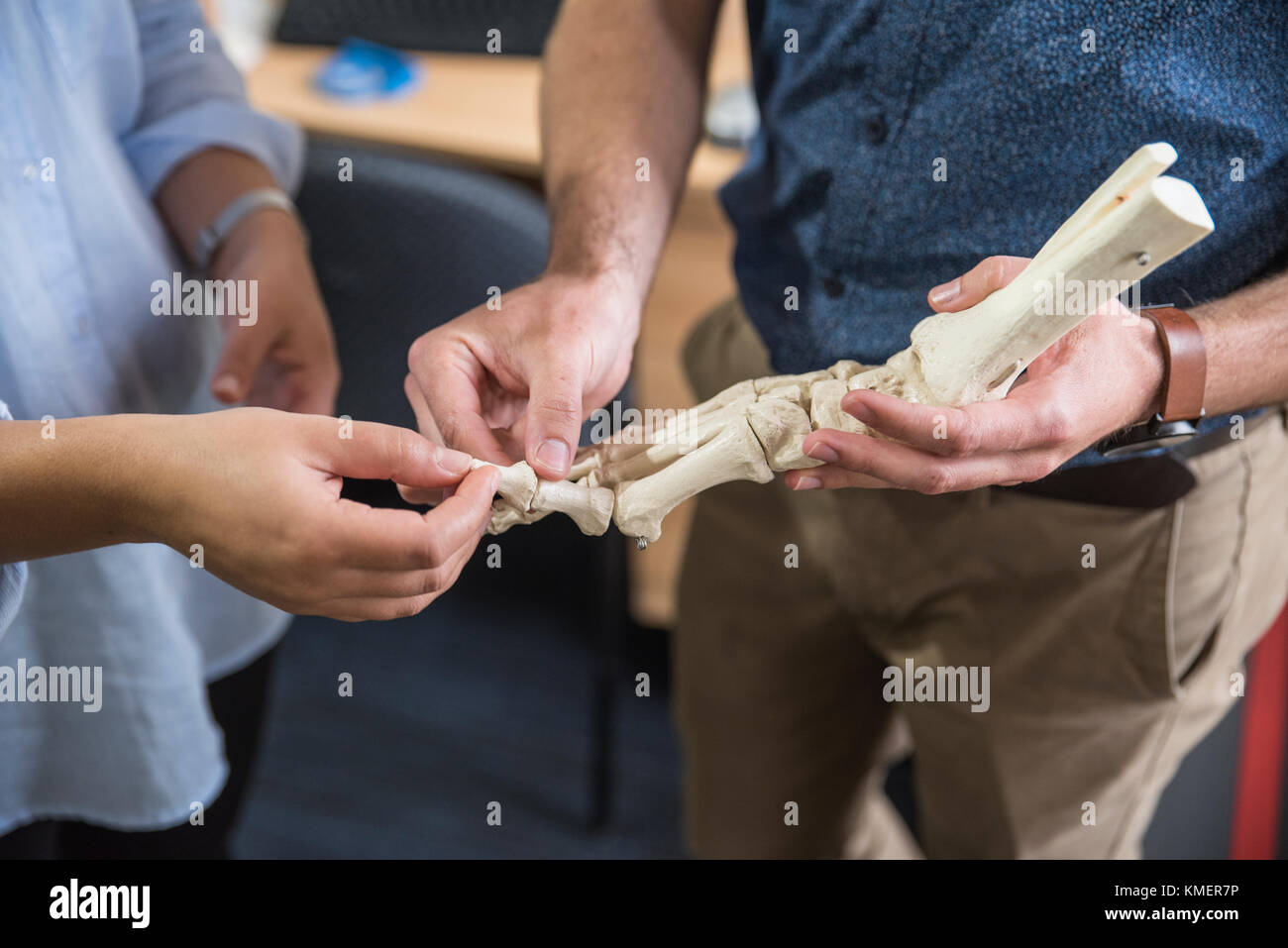 Fußarzt demonstrieren auf einem Modell Skelette Fuß zu Patient Stockfoto