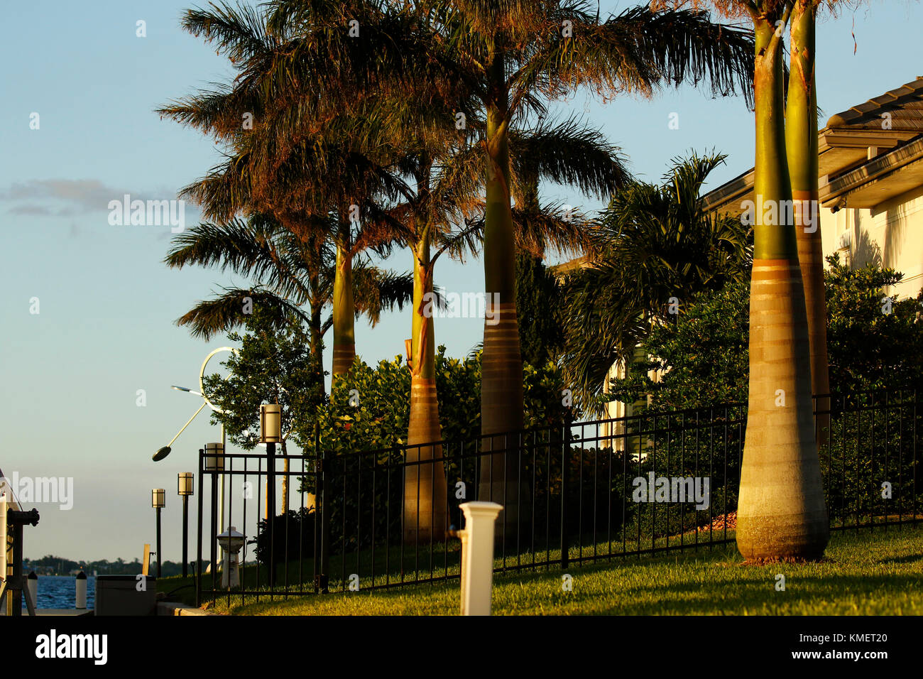 Palm Tree Allee in Punta Gorda Florida Stockfoto